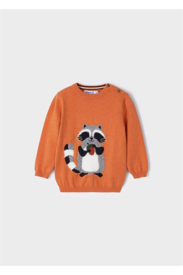 Baby Boy Raccoon Detail Sweater - 1