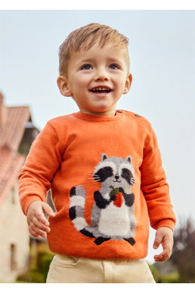 Baby Boy Raccoon Detail Sweater - 3