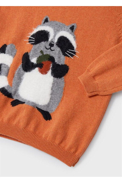 Baby Boy Raccoon Detail Sweater - 4