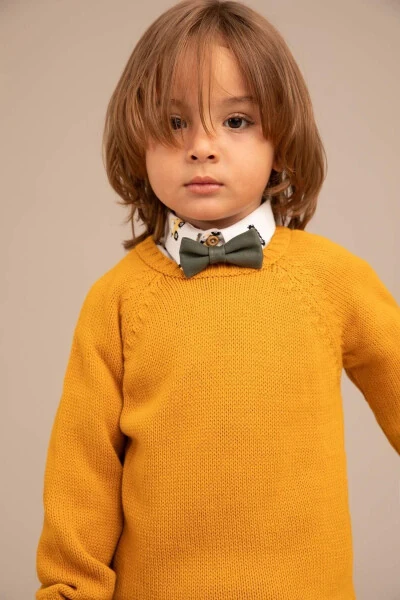 Baby Boy Regular Fit Crew Neck Acrylic Knit Sweater - DEFACTO