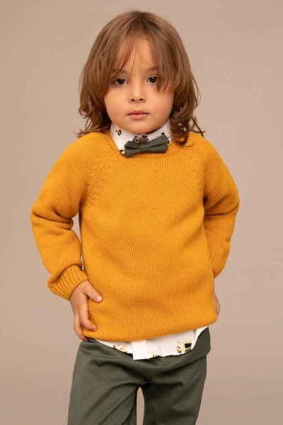 Baby Boy Regular Fit Crew Neck Acrylic Knit Sweater - 3