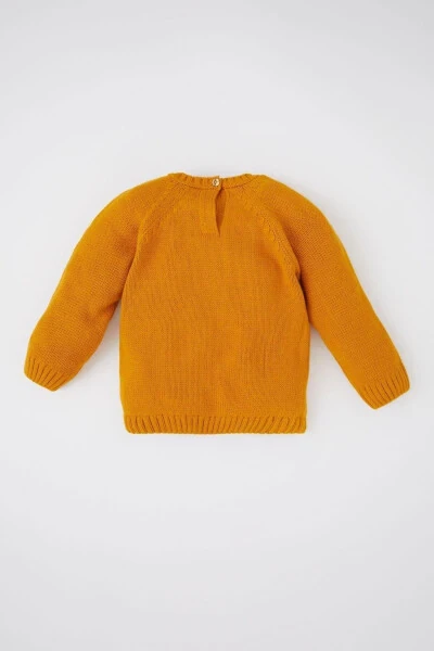 Baby Boy Regular Fit Crew Neck Acrylic Knit Sweater - 7