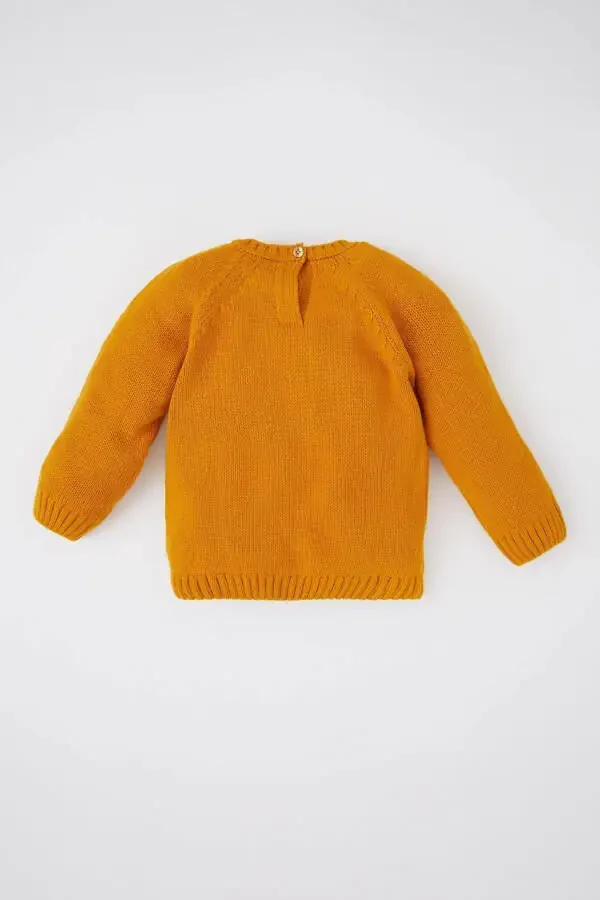 Baby Boy Regular Fit Crew Neck Acrylic Knit Sweater - 7