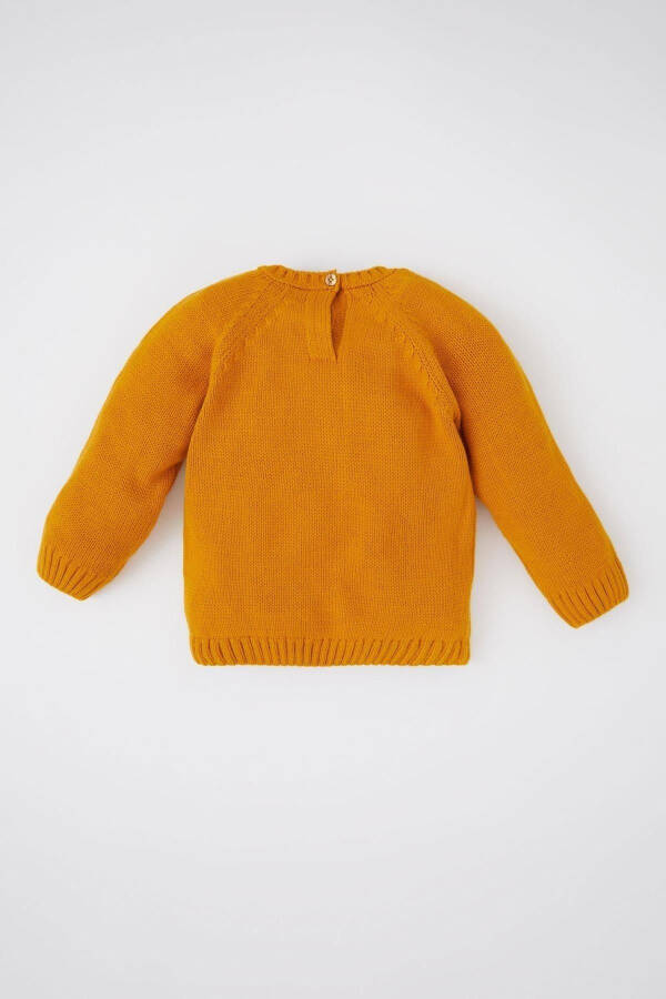 Baby Boy Regular Fit Crew Neck Acrylic Knit Sweater - 7