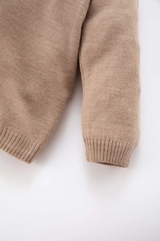 Baby Boy Regular Fit Sweater - Beige-BG187 - 3