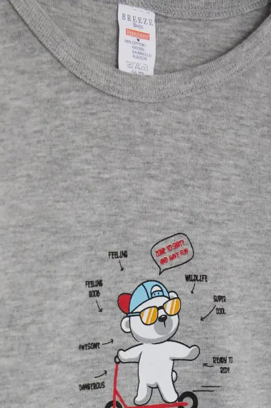 Baby Boy Snapsuit Teddy Bear Print 9M-3Y, Dark Gray Melange - 3