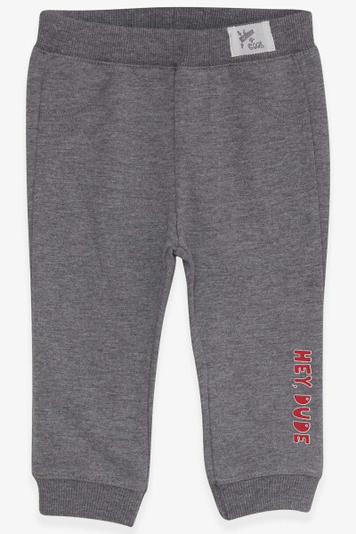 Baby Boy Sweatpants with Summer Print 9 Months-3 Years, Grey Melange - 4