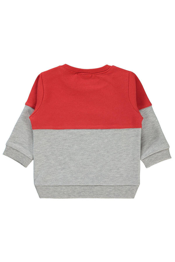 Baby Boy Sweatshirt 6-18 Months Heather Grey - 4