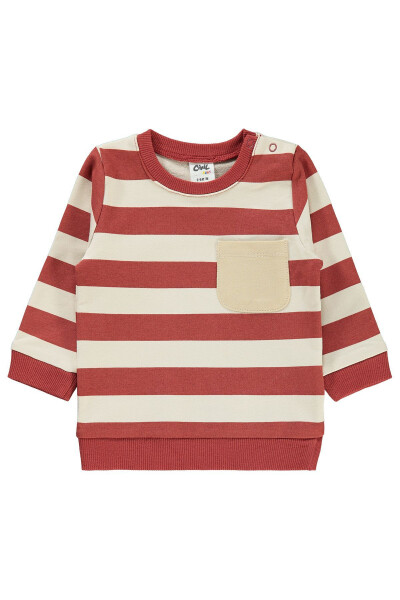 Baby Boy Sweatshirt (6-18 Months) - Terracotta - 3