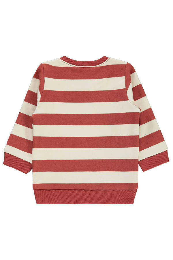 Baby Boy Sweatshirt (6-18 Months) - Terracotta - 4