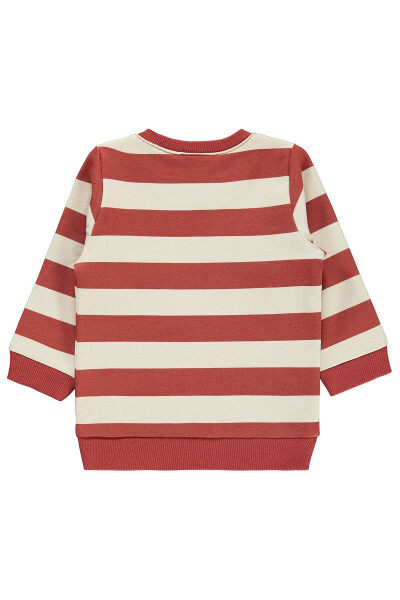 Baby Boy Sweatshirt (6-18 Months) - Terracotta - 2