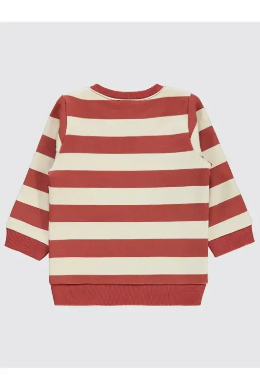 Baby Boy Sweatshirt (6-18 Months) - Terracotta - 1
