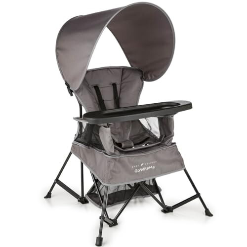 Baby Delight Go with Me Venture Portable Chair | Indoor and Outdoor | Sun Canopy | 3 Child Growth Stages | Grey - 1