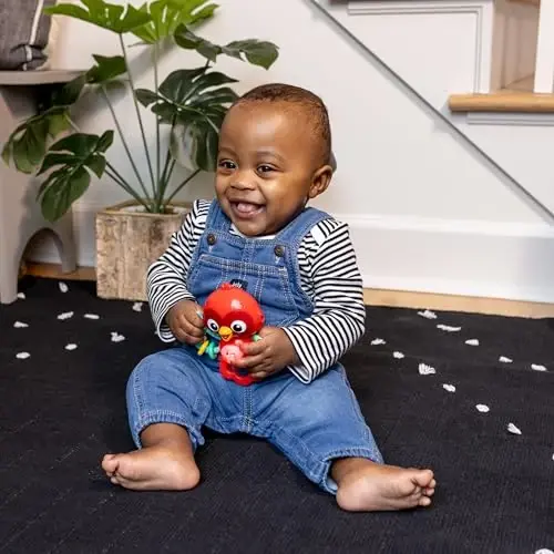 Baby Einstein Roxys Bright Flight Musiqiy chaqaloq o'yinchoq va tishlagich, 10 dan ortiq kuylar bilan haqiqiy qush ovozlarini chiqaradi, Multisensorli, 3 oylik va undan katta yoshdagilar uchun - 3