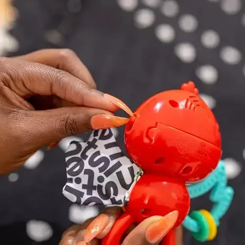 Baby Einstein Roxys Bright Flight Musiqiy chaqaloq o'yinchoq va tishlagich, 10 dan ortiq kuylar bilan haqiqiy qush ovozlarini chiqaradi, Multisensorli, 3 oylik va undan katta yoshdagilar uchun - 6