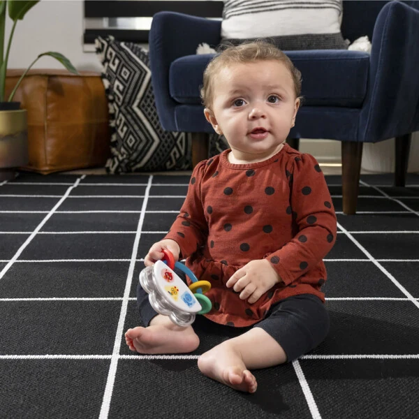 Baby Einstein Tiny Tambourine Musical Toy & Rattle, 3 oydan oshgan bolalar uchun - 5