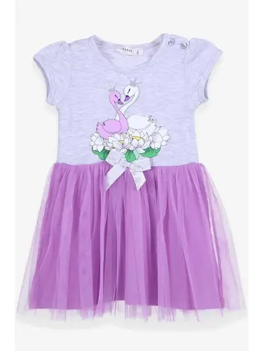 Baby Girl Dress Swan Printed Gray Melange (1.5-2 Years Old)-Gray - 1