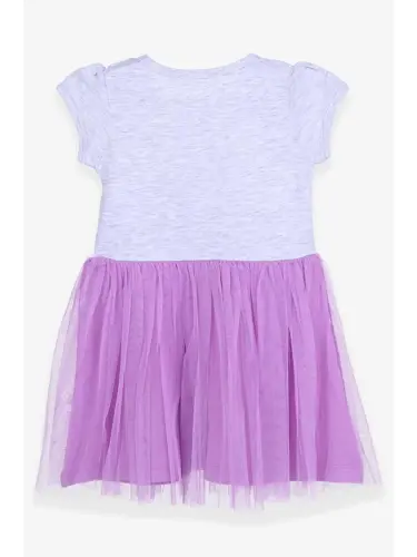 Baby Girl Dress Swan Printed Gray Melange (1.5-2 Years Old)-Gray - LC WAIKIKI (1)