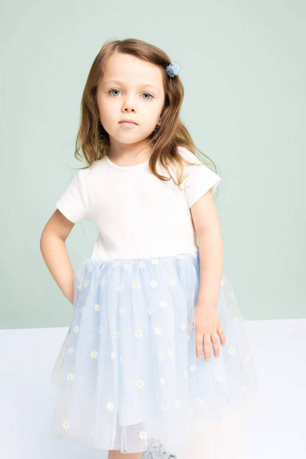 Baby Girl Floral Ribbed Bodice Short Sleeve Tutu Dress Light Blue - 4