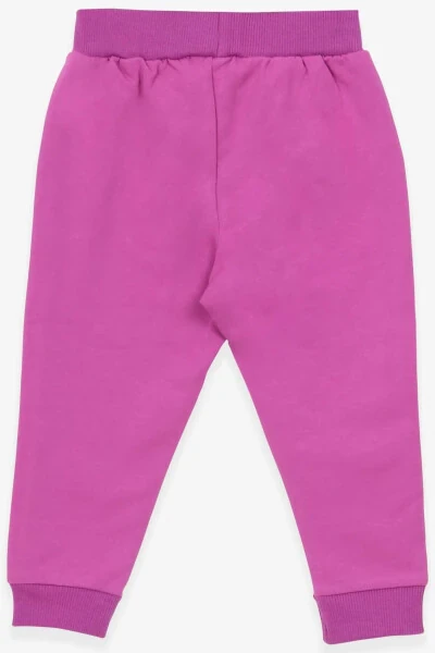 Baby Girl Sweatpants with Cat Print 6 Months-2 Years, Lilac - Modazone (1)