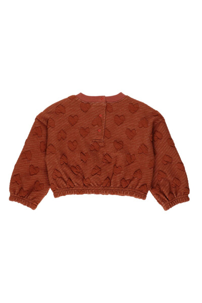 Baby Girl Tile Crop Sweatshirt - 2