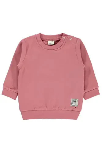 Baby Sweatshirt 6-18 Months Rose-Rose - 1
