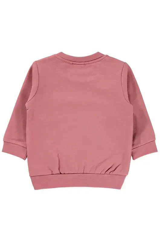 Baby Sweatshirt 6-18 Months Rose-Rose - 3