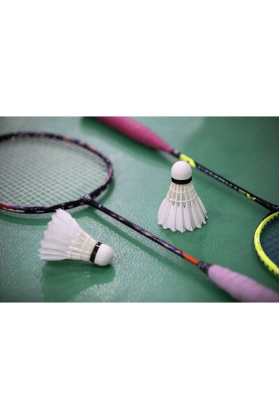 Badminton Racket Game Set 2 Rackets with Game Ball Gift Iron Handle Soft Net - 4