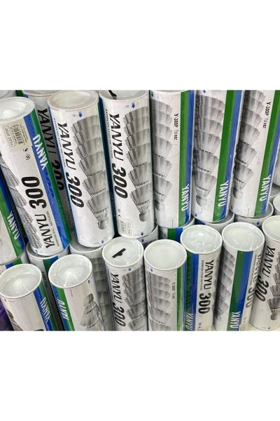 Badminton Shuttlecock 300 Pack of 6 - 4