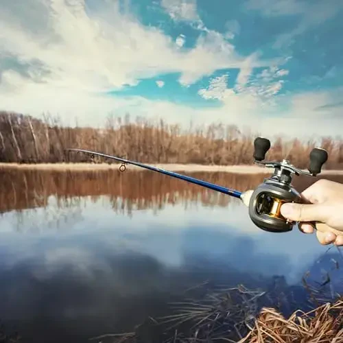 Baitcasting Reel, Fishing Reel, Magnet Braking System, 17.6 LB Max Drag, 7.2: 1 and 6.3: 1 Gear Ratio - 6