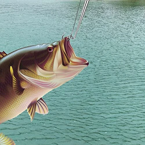 Baliq Kancasi Chiqaruvchi, 2 dona Baliq Kancasi Tez Chiqarish Qurilmasi, Xavfsizlik Ekstraktor Baliq Kancasi Ulanishni Uzish Chiqarish Asboblari Baliq Ovlash Uchun - CC LOT (1)