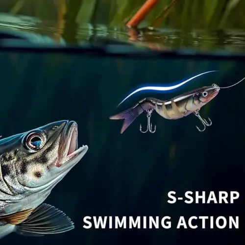 Baliq ovlash uchun yem to'plami Yuzaki bas uchun yemlar Baliq ovlash uchun yemlar Sekin cho'kadigan suzuvchi yemlar Ko'p bo'g'imli suzuvchi yem Realistik qattiq yem Alabalık perch - 4