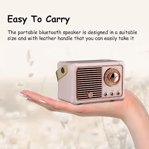 Baolira Retro Bluetooth karnay, Kristall Stereo Ovozli Boy Bassli Portativ Simsiz Karnay, Ayollar o'smirlar uchun eng yaxshi tug'ilgan kun sovg'alari g'oyalari (Pushti) - 5