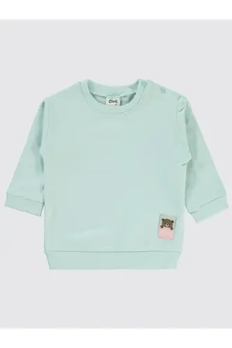 Basic Arma Etiketli 6-18 Ay Sweatshirt - Yeşil 12-18 Ay - Mint - 1