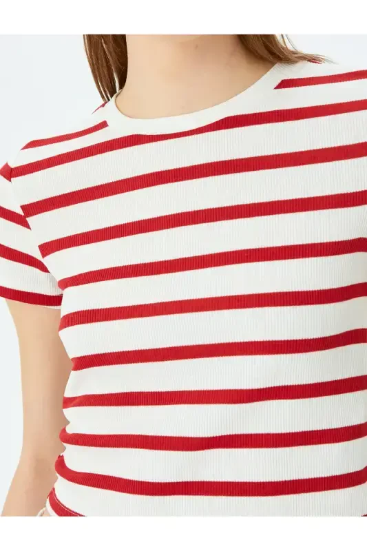 Basic Çizgili Bisiklet Yaka Kısa Kollu Kaşkorse Slim Fit Kadın Tişört-Kırmızı Çizgili - 1