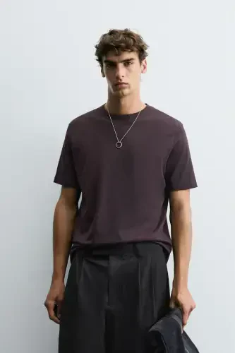 BASIC MEDIUM WEIGHT T-SHIRT-Dark aubergine - ZARA (1)