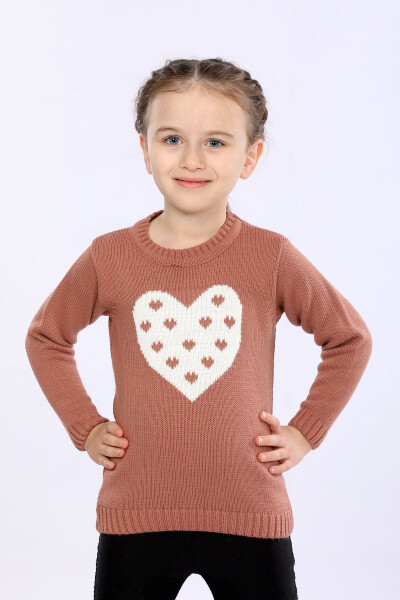 Kız Çocuk Regular Fit Basic Triko Kazak-GÜL - CLOUDY KIDS