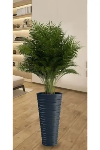 Beach Vase Decorative Pot Anthracite 5.5 Lt With Inner Pot-ANTHRACITE - 7