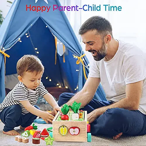 Toddlers Montessori Wooden Educational Toys for Baby Boys Girls Age 1 2 3 Year Old, Shape Sorting Toys 1st One First Birthday Girl Gifts for Kids 1-3, Wood Preschool Learning Fine Motor Skills Game - 6
