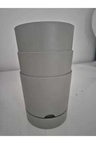 Begonia 5lt Cream Pot (leoflowers Product) - 1