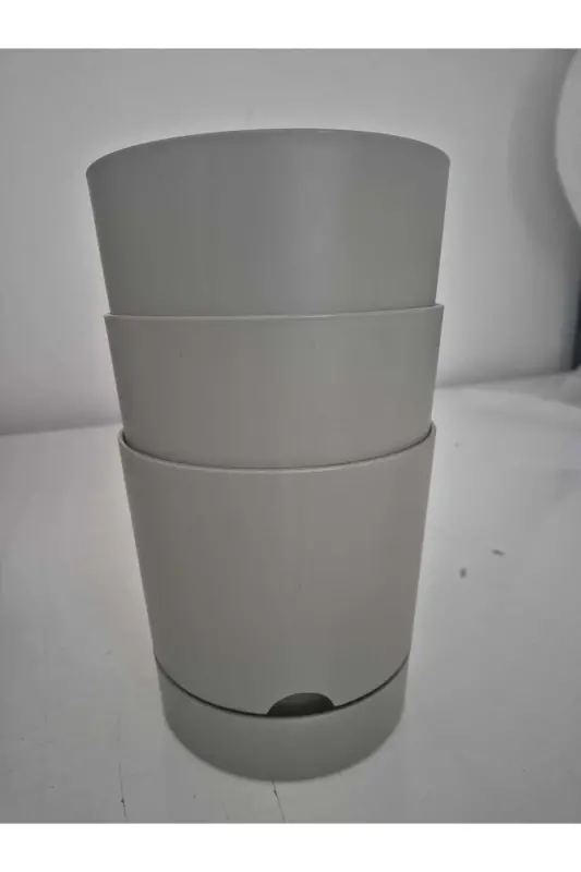 Begonia 5lt Cream Pot (leoflowers Product) - LEOGARDEN