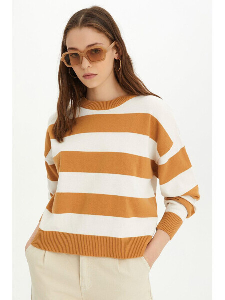 Beige-Ecru Striped Crew Neck Knit Sweater - 5