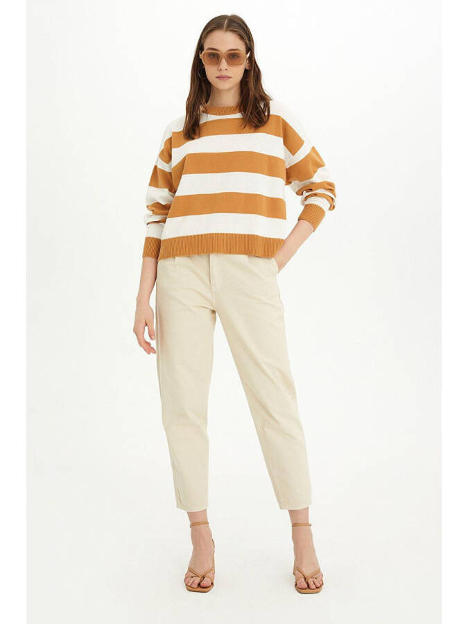 Beige-Ecru Striped Crew Neck Knit Sweater - 6