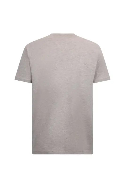 Beige Regular Fit Crew Neck Cotton Basic T-Shirt-Beige01 - 2