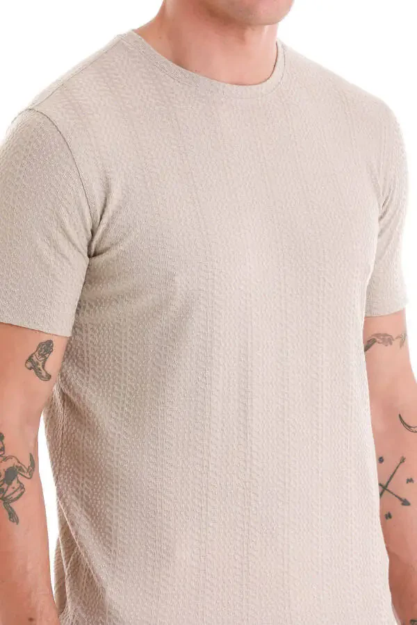 Beige Regular Fit Jacquard Crew Neck T-Shirt - 4