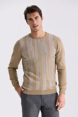 Beige Slim Fit Crew Neck Patterned Knitwear - 1