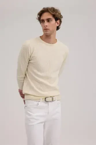 Beige Slim Fit Patterned Crew Neck Knitwear - 1