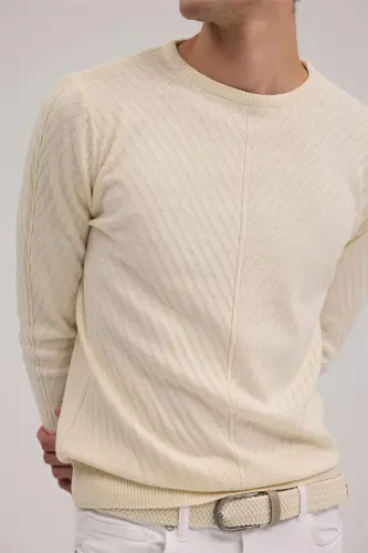 Beige Slim Fit Patterned Crew Neck Knitwear - 3
