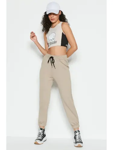 Bej Jogger Lastikli Spor Eşofman Altı 806 Taş-Bej - LC WAIKIKI (1)