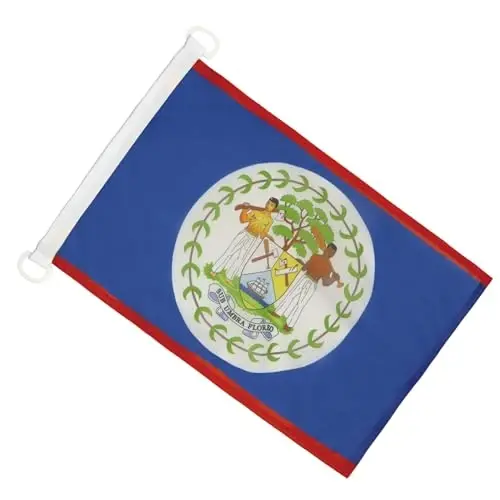 Belize NAUTICAL Flag 18'' x 12'' - Belizean flags 30 x 45 cm. - Banner 12x18 in for boat - AZ FLAG - AZ FLAG (1)